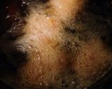 冷めても柔らか！超簡単チキンカツ作り方5写真