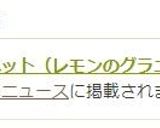 レモンシャーベット（レモンのグラニータ）作り方7写真