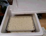 米麹~自分で作っちゃおう!作り方5写真