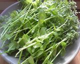 野草を楽しむ～ハコベのサグカレー作り方1写真