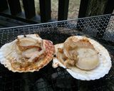 美味しいバーベキューのコツ！作り方10写真