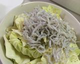 鶏モモ肉とキャベツの簡単しらす蒸し作り方2写真
