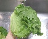 最長３週間!?レタス＆キャベツの保存方法作り方4写真