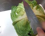 最長３週間!?レタス＆キャベツの保存方法作り方12写真