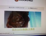 生きくらげの取扱いと保存作り方6写真