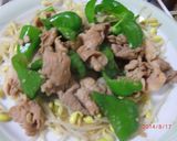 野菜たっぷり豚こまにんにく醤油スタミナ焼作り方7写真