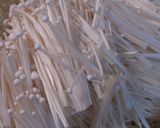 ♪エノキだけのペペロンチーノ♪作り方1写真