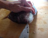 鯛のさばき方〜下処理偏〜作り方14写真