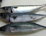浅締め♪自家製シメサバ作り方1写真