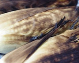 茹でないほうが旨い☆焼きとうもろこし作り方4写真