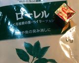 ラザニア作り方4写真