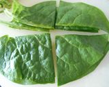 つるむらさきの天ぷら作り方1写真