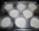 ひんやり桃のムース作り方5写真