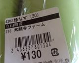 緑ナスを焼きナスに〜(o˘◡˘o)♡作り方2写真