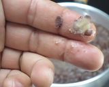 粒餡（つぶあん）作り方13写真