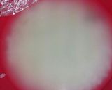 離乳食初期 まとめて煮ちゃえ！健康食材！作り方6写真