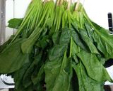 干し野菜☆干し網なしお手軽干しほうれん草作り方1写真