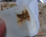 簡単☆美味しい☆シンプルな 松茸ごはん♪作り方4写真