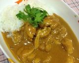 カレー研究会報告！柔らかタンドリーチキン作り方11写真