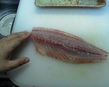 イサキの炙り刺身作り方1写真