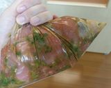 ソース不要！豚肉のねぎ味噌カツ作り方2写真