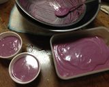 採れたてブルーベリーでアイスクリーム作り方8写真