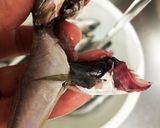豆アジの唐揚げ作り方1写真