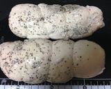 ムネ肉で簡単!しっとり絶品☆鶏ハム作り方5写真