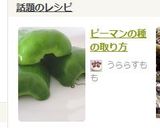 ピーマンの種の取り方作り方6写真