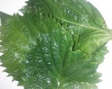 夏野菜の美味しいてんぷら(﹡ˆ﹀ˆ﹡)作り方2写真