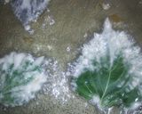 夏野菜の美味しいてんぷら(﹡ˆ﹀ˆ﹡)作り方9写真