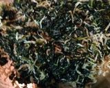 お箸が止まらない♪旬のふりかけ〜夏編〜作り方6写真