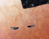 夜ごはんはKIRIMIちゃん.作り方5写真