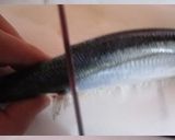 調理別3種基本のサンマ下処理作り方4写真