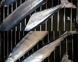 調理別3種基本のサンマ下処理作り方12写真