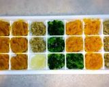 野菜のストック(離乳食中期@活力鍋)作り方13写真