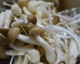 秋鮭のキノコ蒸し作り方2写真