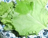 簡単　青紫蘇の豆板醤入りピリ辛漬け保存　作り方1写真