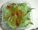 簡単　青紫蘇の豆板醤入りピリ辛漬け保存　作り方3写真
