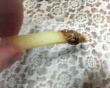 簡単！万能♪海苔の佃煮マヨソース♡作り方5写真