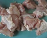 冬瓜と鶏肉のトマト煮作り方2写真