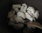 冬瓜と鶏肉のトマト煮作り方3写真