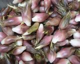 かんたん茗荷のピクルス作り方1写真
