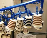 ノンオイル！紙コップdeバナナシフォン作り方14写真