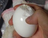 失敗しないゆで卵の剥き方♪作り方7写真