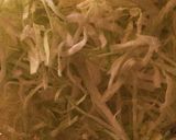 キャベツを叙々苑風♪に大量消費作り方1写真