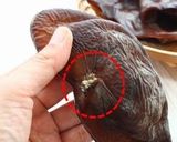 プリプリ！生きくらげの生姜醤油和え作り方1写真