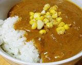 野菜の水分だけ！濃厚トマトチキンカレー作り方8写真
