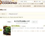 茄子の煮浸し作り方6写真