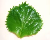 しそ入り豆腐ハンバーグ作り方3写真